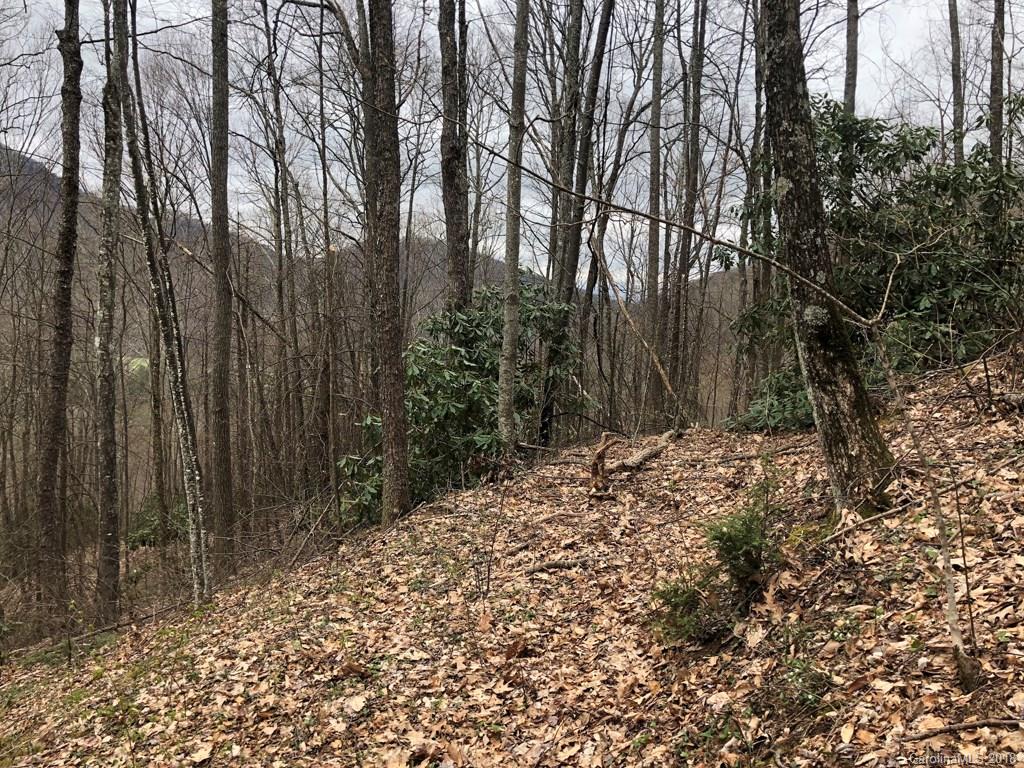 Lot 124 Ramp Patch Lane Waynesville, NC 28786 - Photo 6 of 18 Gallery Image 6