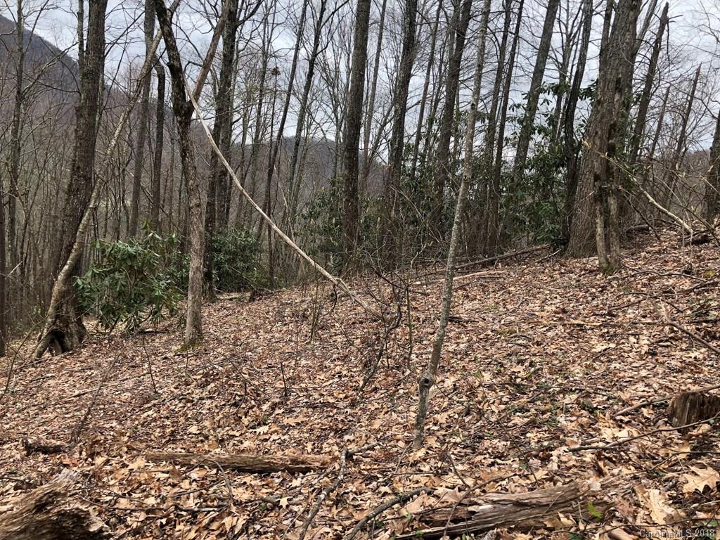 Lot 124 Ramp Patch Lane Waynesville, NC 28786 - Photo 7 of 18 Gallery Image 7
