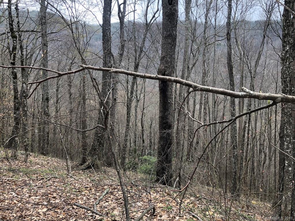 Lot 124 Ramp Patch Lane Waynesville, NC 28786 - Photo 8 of 18 Gallery Image 8