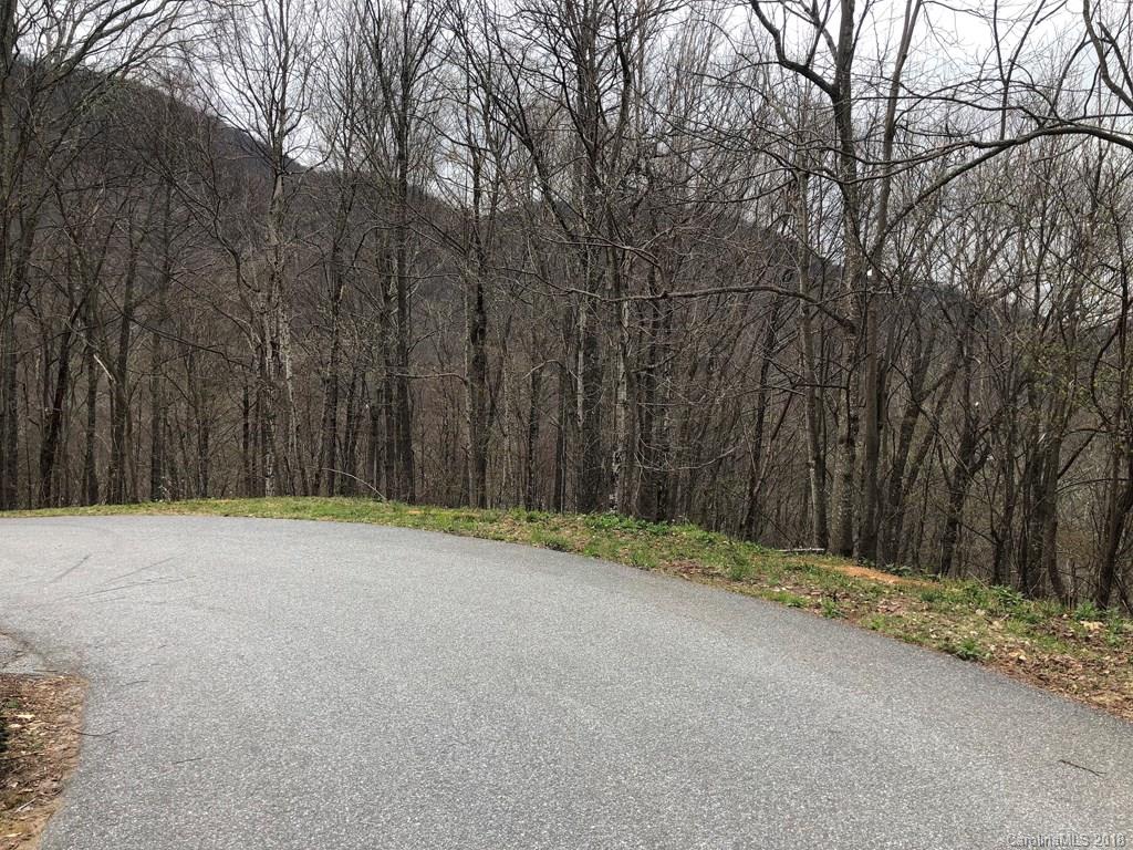 Lot 124 Ramp Patch Lane Waynesville, NC 28786 - Photo 10 of 18 Gallery Image 10