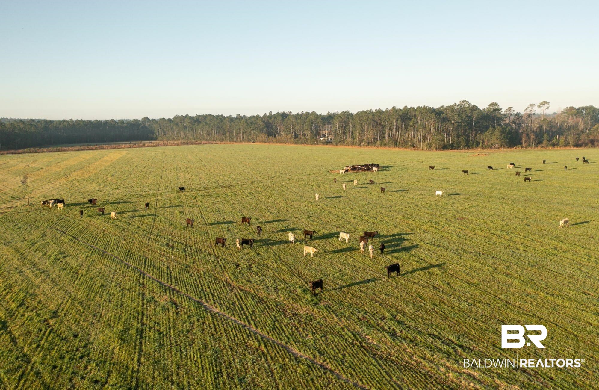 0 County Road 91 Elberta, AL 36530 - Photo 5 of 25 View of yard featuring a rural view