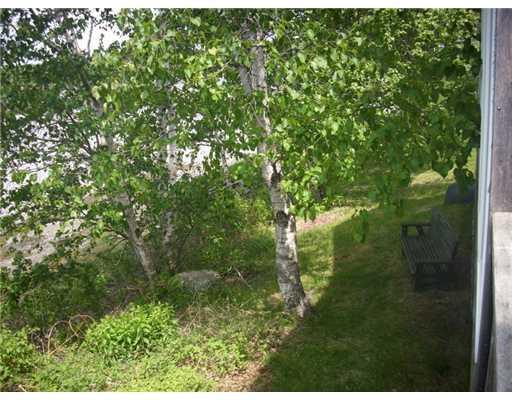 74 Basin Cove Road Harpswell, ME 04079 - Photo 11 of 25 Yard/Garden.