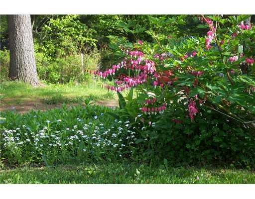 74 Basin Cove Road Harpswell, ME 04079 - Photo 13 of 25 Yard/Garden.