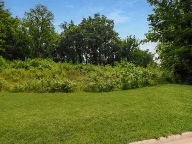 a view of a trees with a yard