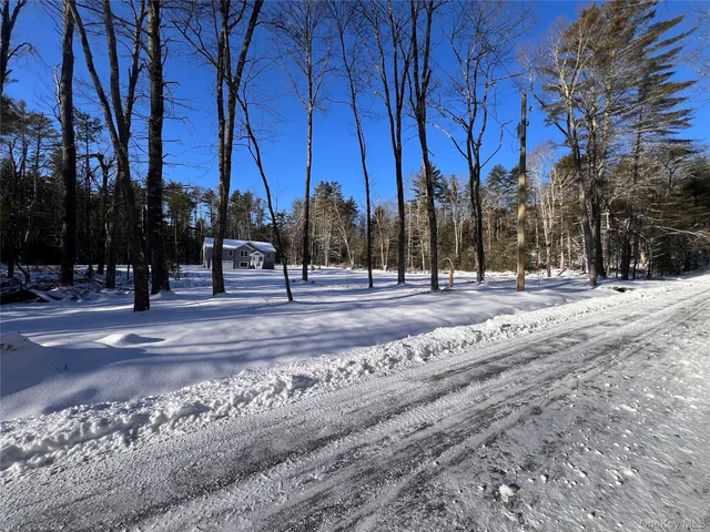 a view of road with trees