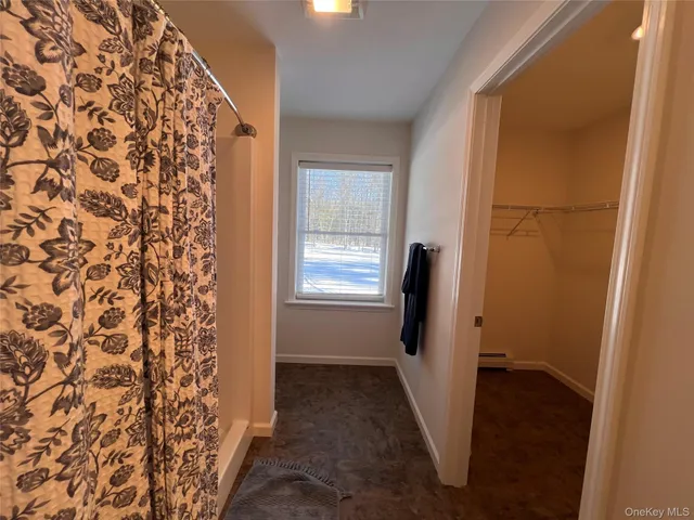 a view of bathroom with a window and a shower