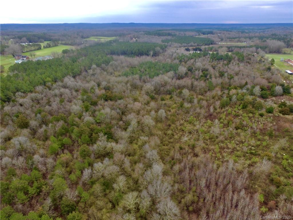 0 Horne Store Road Peachland, NC 28133 - Photo 2 of 10 a view of a lush green forest with trees and some houses