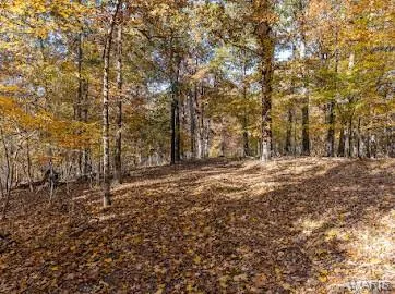 $461,956 | 0 Hohokam Lane, Jackson, MO 63755