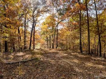 $461,956 | 0 Hohokam Lane, Jackson, MO 63755