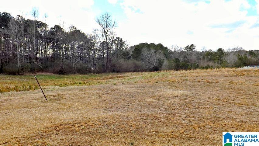 0 Highway 231, Unit 1 5 Oneonta, AL 35121 - Photo 6 of 23