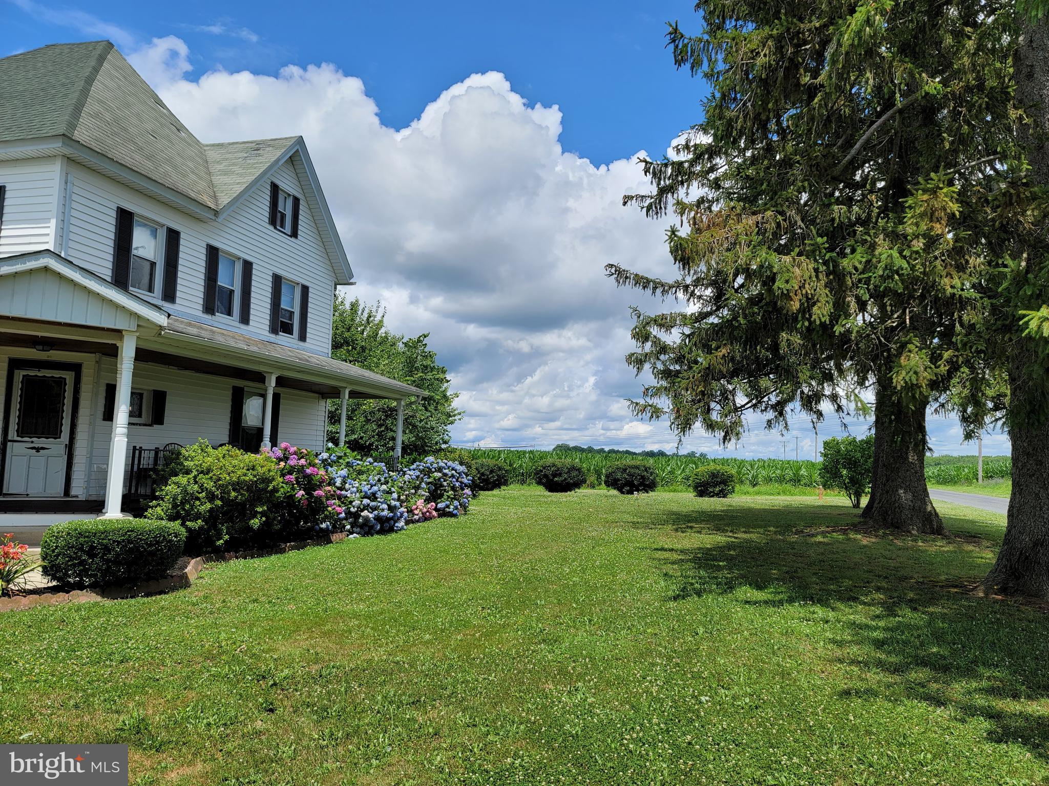 295 Jefferson Road Elmer, NJ 08318 - Photo 3 of 42