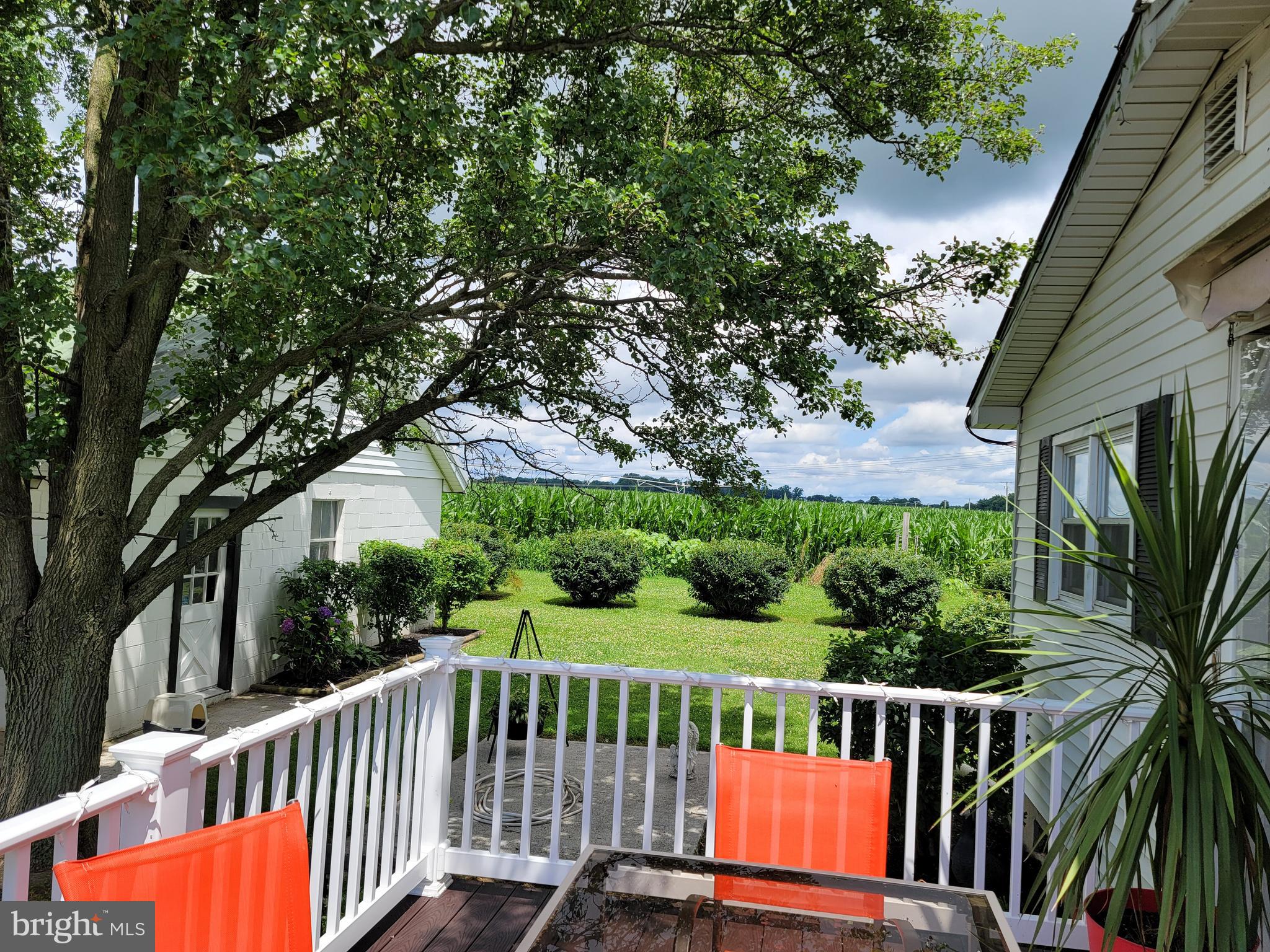 295 Jefferson Road Elmer, NJ 08318 - Photo 28 of 42