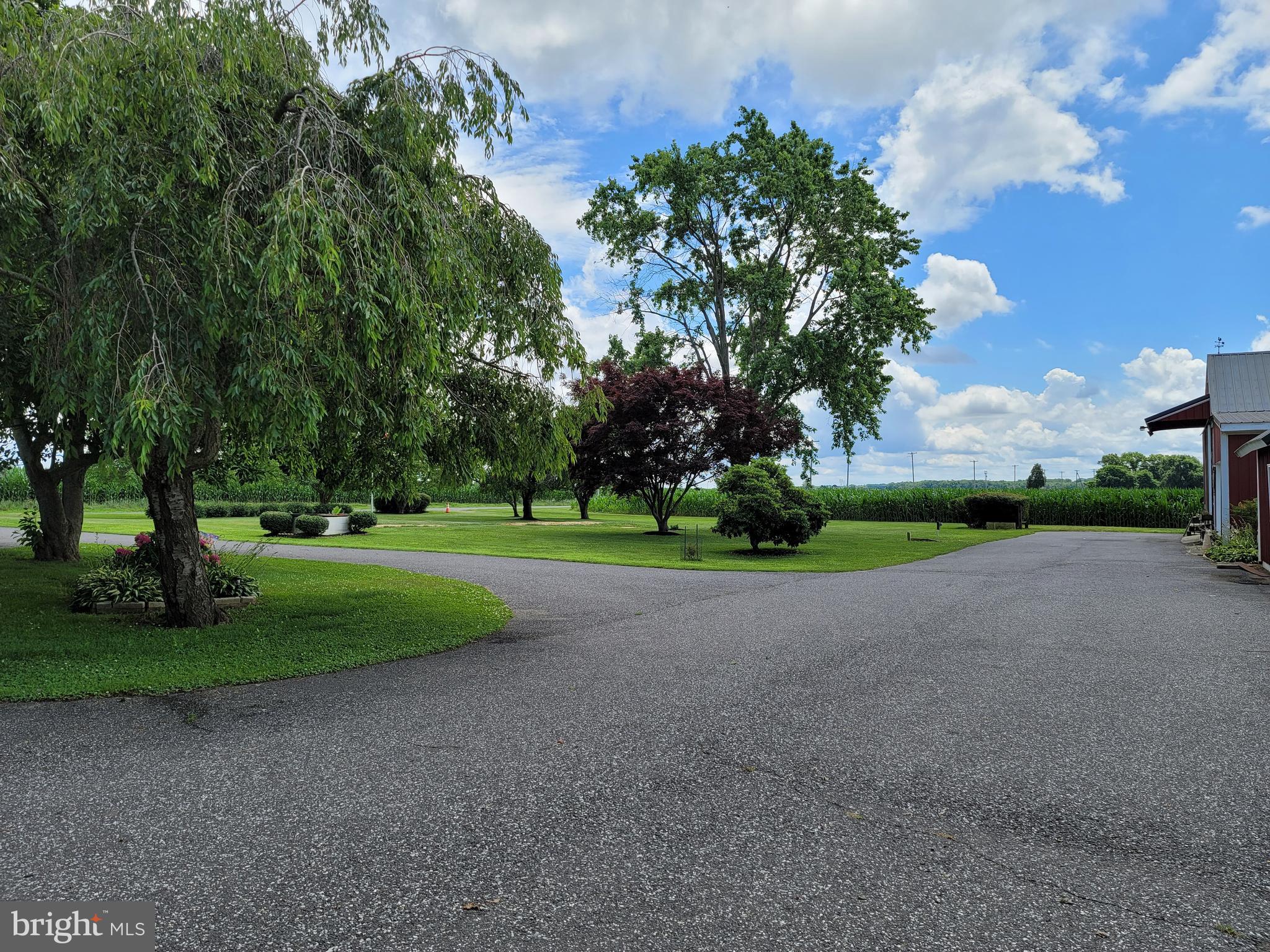295 Jefferson Road Elmer, NJ 08318 - Photo 6 of 42