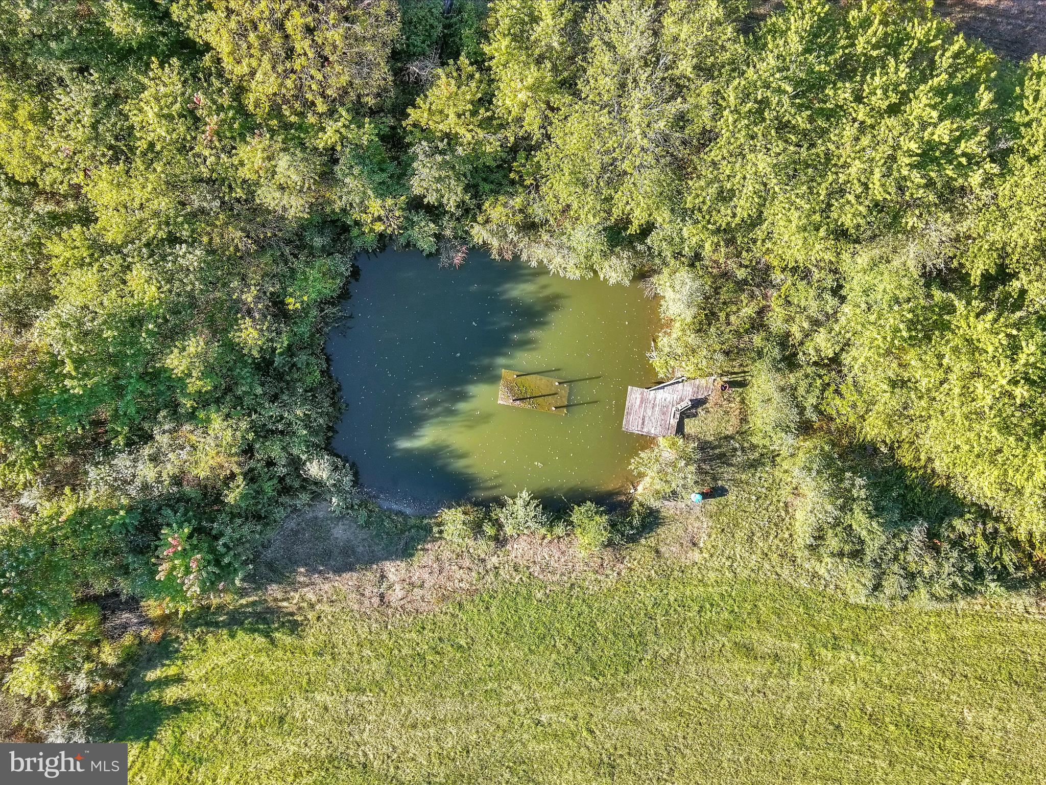 473 Ridge Road Grantville, PA 17028 - Photo 57 of 58 pond