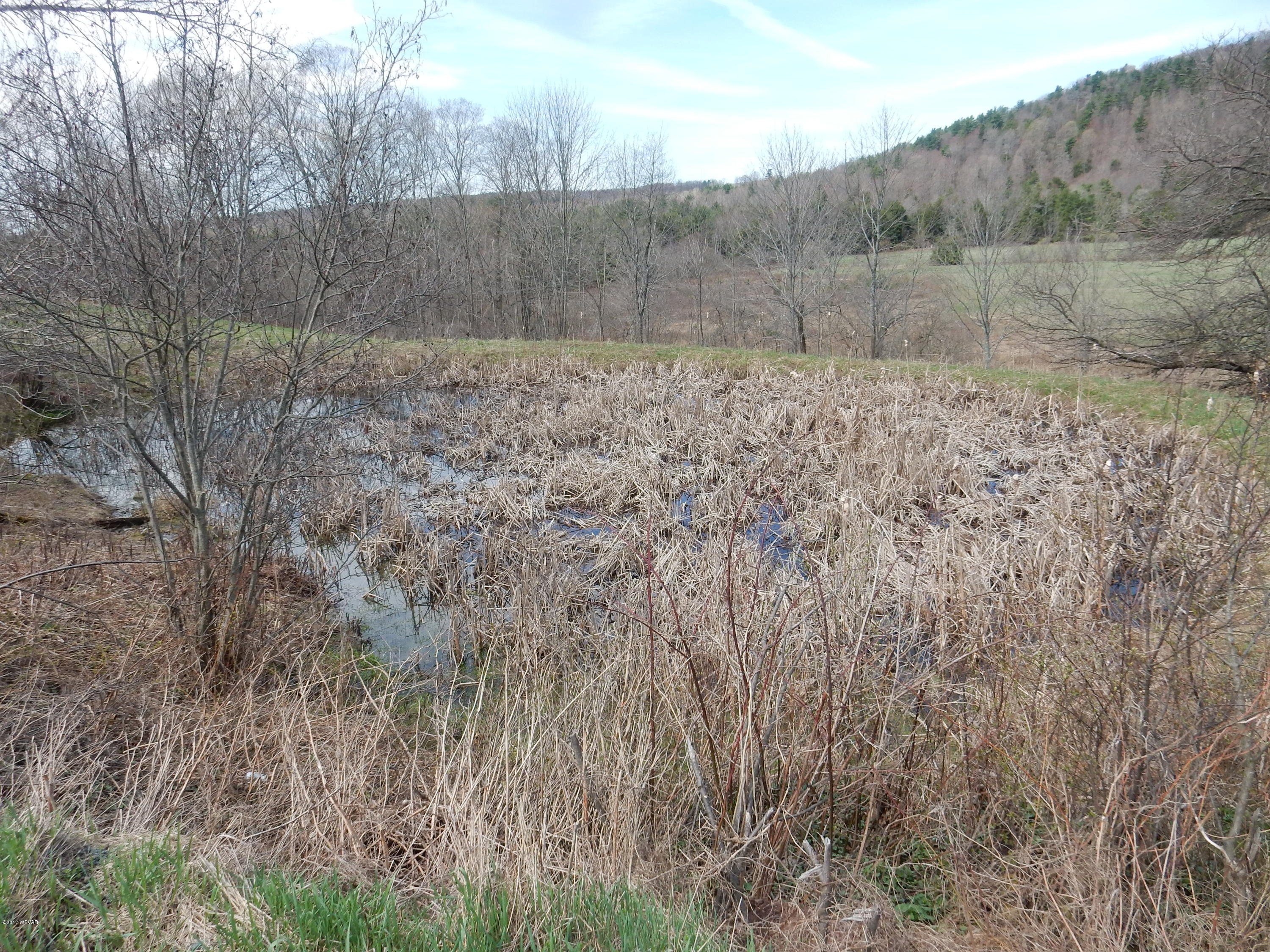 15 Deep Hollow Road New Albany, PA 18833 - Photo 17 of 53 Hurst 026