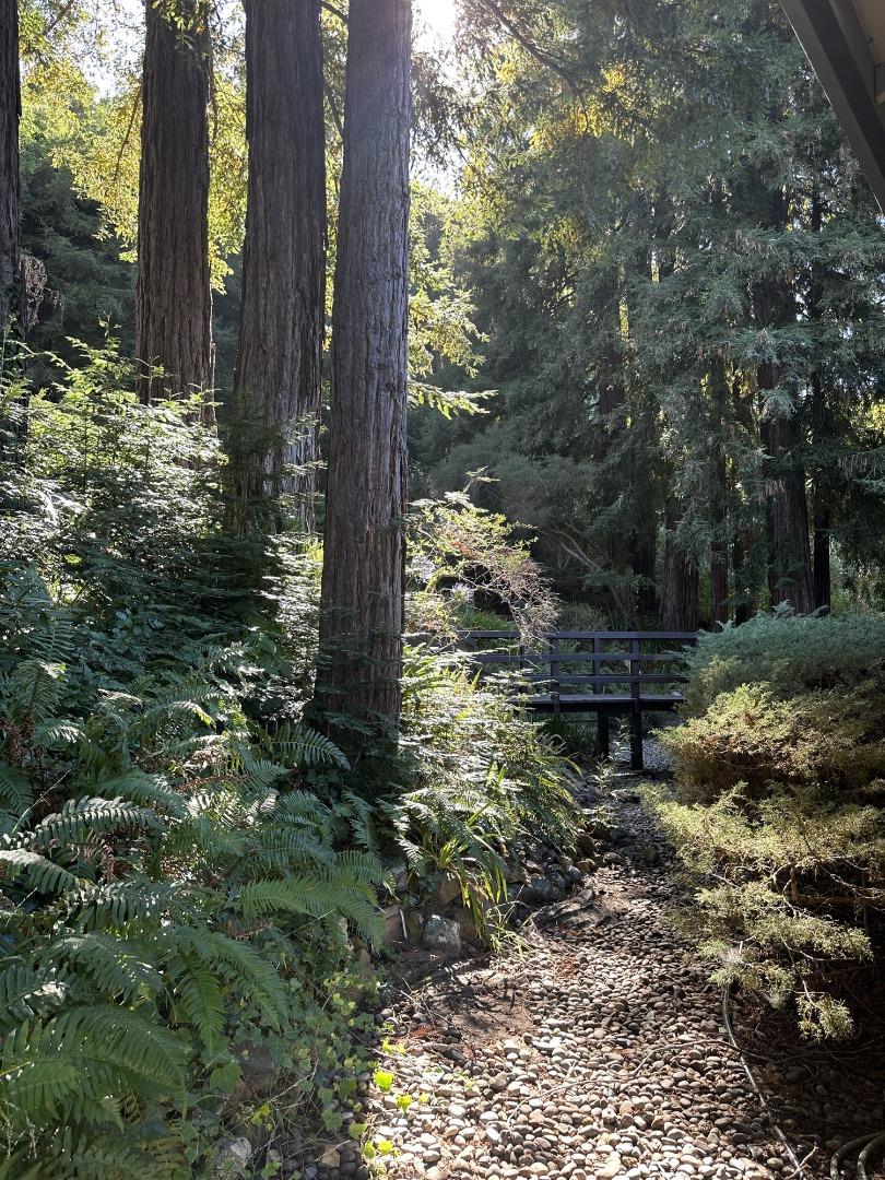 530 Summit Spring Road Woodside, CA 94062 - Photo 24 of 24 a backyard of a house with lots of green space