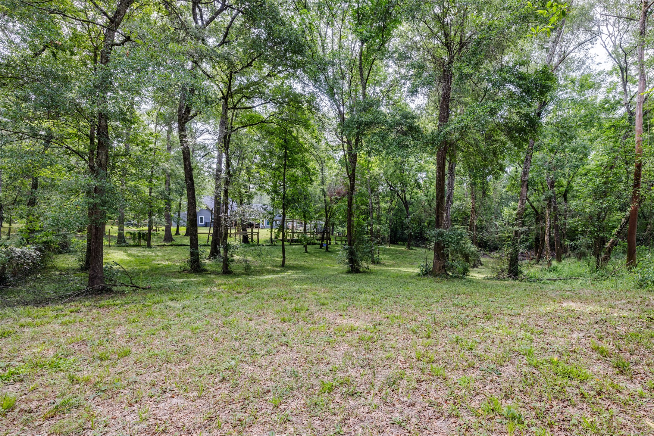 35 Disher Circle Huffman, TX 77336 - Photo 45 of 50 a view of a trees in a park