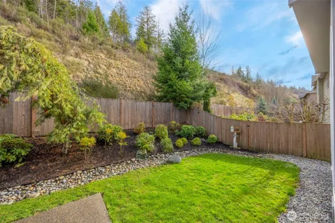 a view of a backyard with plants and large tree