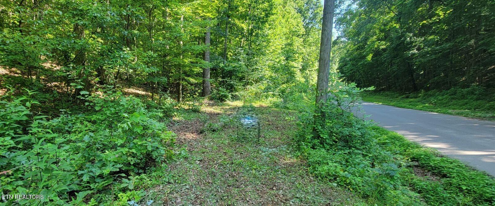 6224 Get Good Hollow Road Loudon, TN 37774 - Photo 5 of 8 No sign