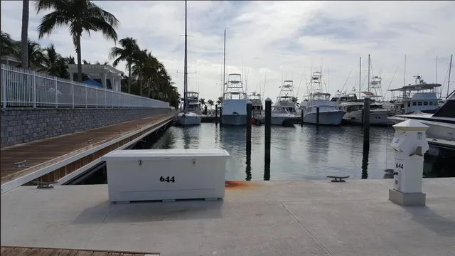 a view of a lake with boats and palm trees