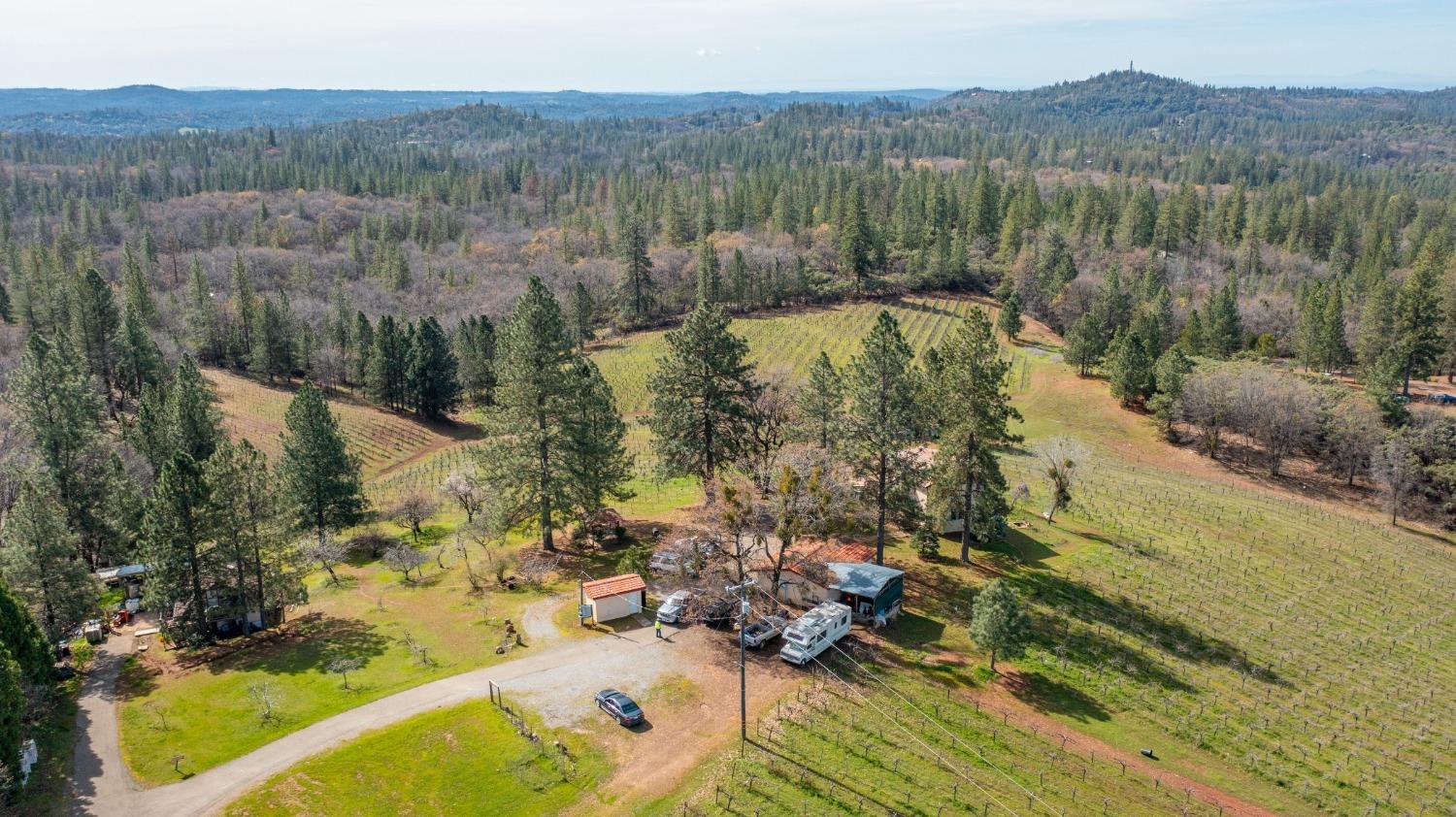 4771 Greenhills Road Placerville, CA 95667 - Photo 64 of 71 Gallery Image 64