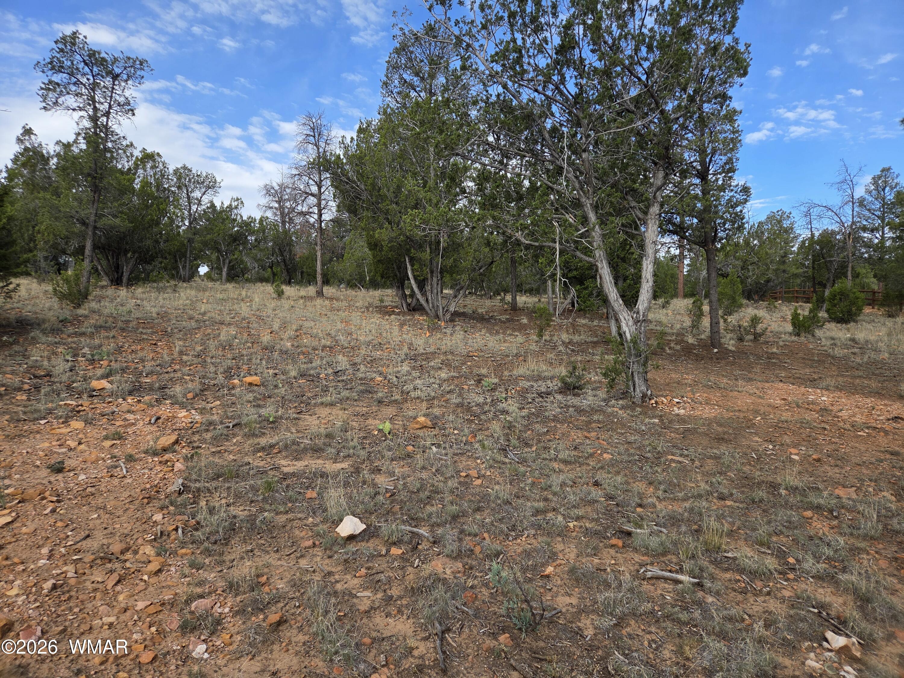 3332 Sawmill Ridge Loop Heber, AZ 85928 - Photo 3 of 12