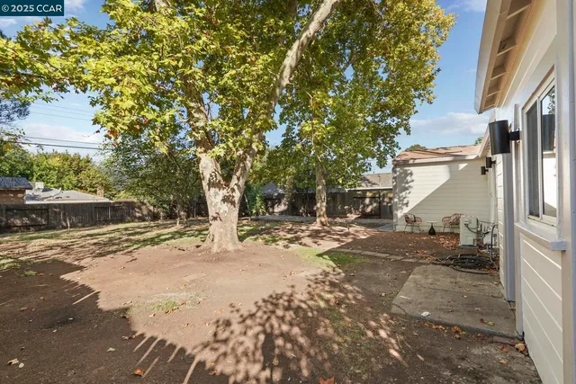 a view of a yard with plants and trees