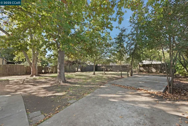 a view of a yard with large trees