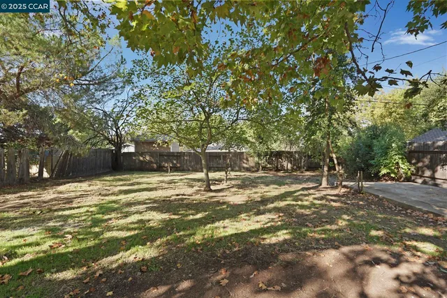 a view of a yard with a tree