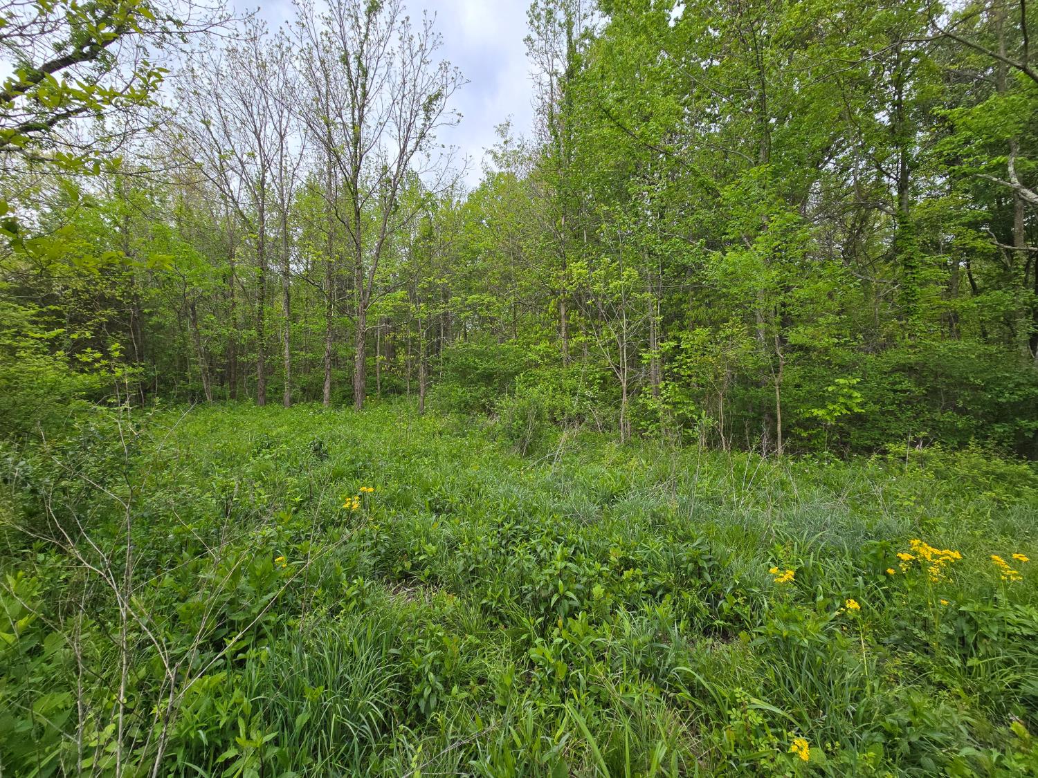 0 North Delaware Road Milan, IN 47031 - Photo 2 of 5