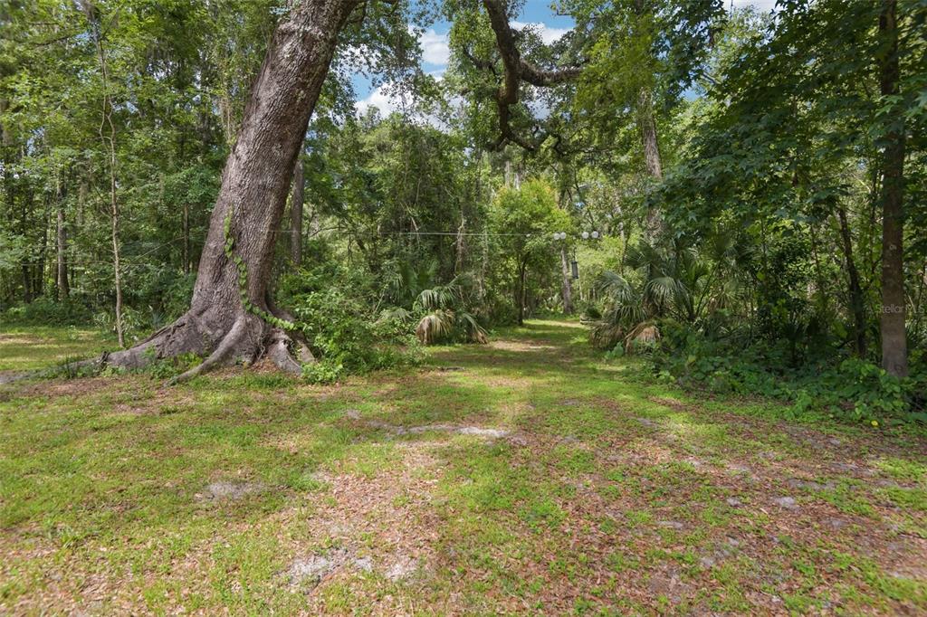 6221 Emerson Road Brooksville, FL 34601 - Photo 19 of 45