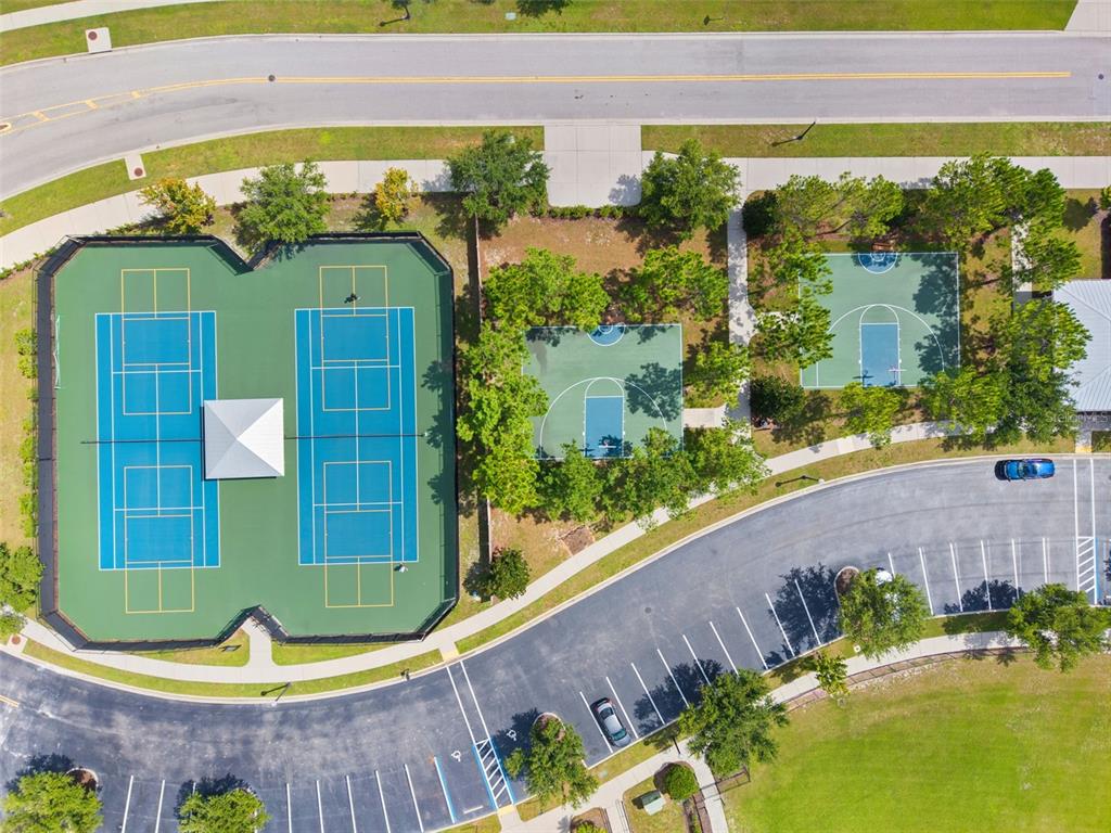 1653 Nature View Drive Lutz, FL 33558 - Photo 50 of 63 a view of swimming pool with a garden