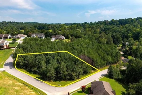 a view of a swimming pool with a yard