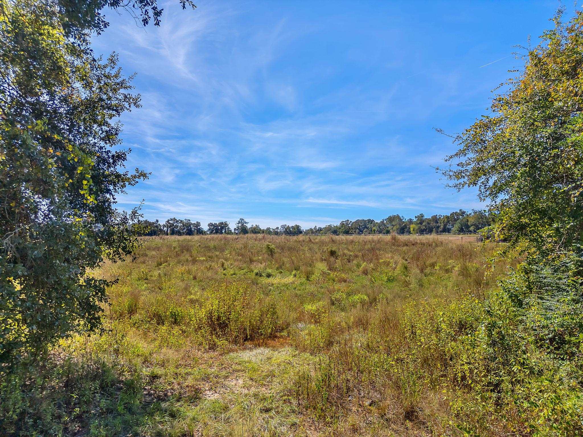 0 Barnes Road Monticello, FL 32344 - Photo 3 of 6