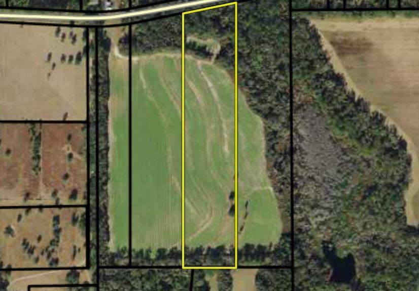 0 Barnes Road Monticello, FL 32344 - Photo 4 of 6