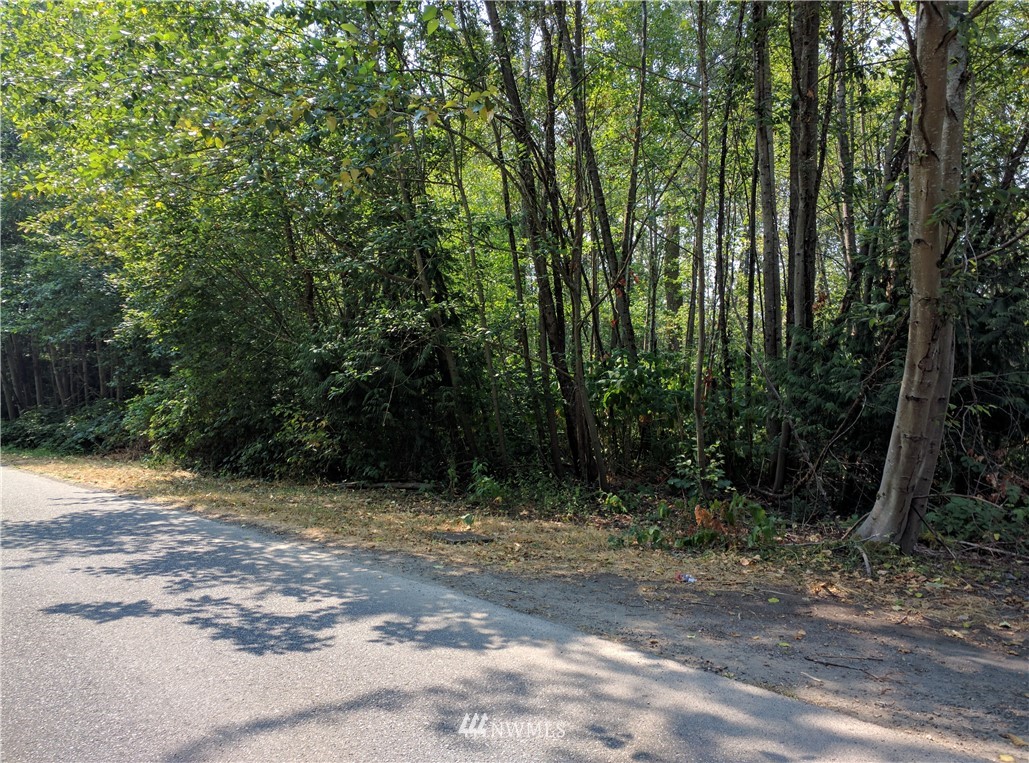 0 Batten Road Northeast Duvall, WA 98019 - Photo 1 of 1