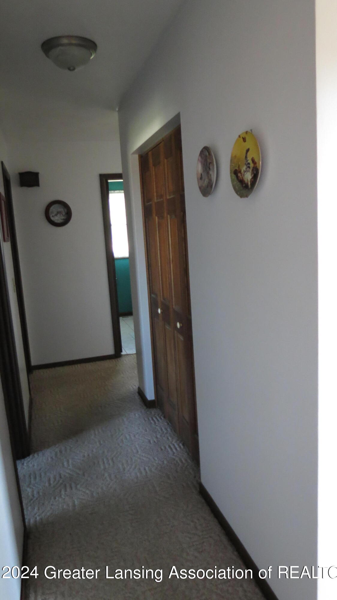 8990 East Maple Rapids Road Elsie, MI 48831 - Photo 21 of 45 IMG_9081