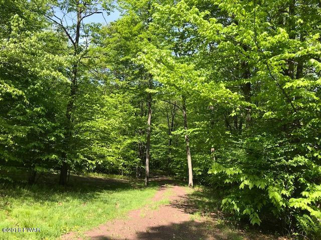 Brook Street Forest City, PA 18421 - Photo 7 of 22