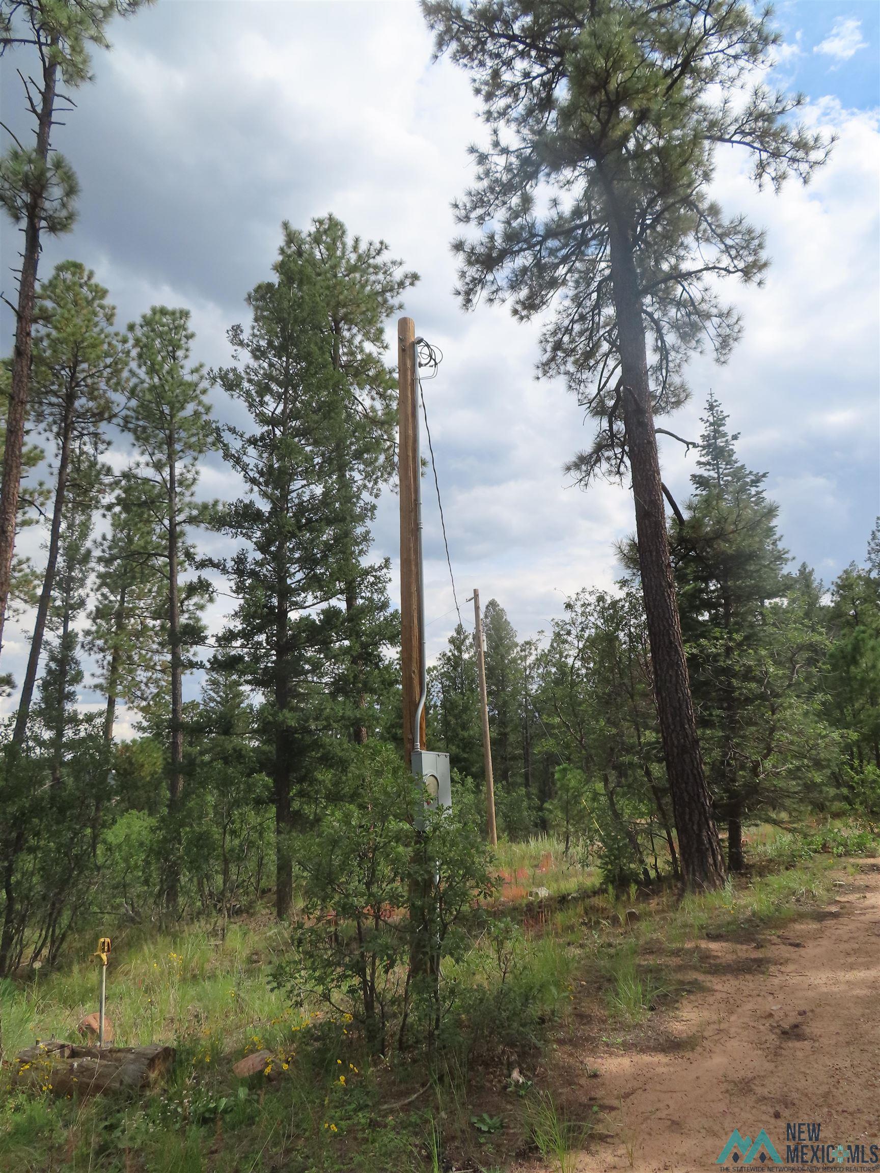1045-ac Branch Road Mora, NM 87732 - Photo 3 of 40 Gallery Image 3