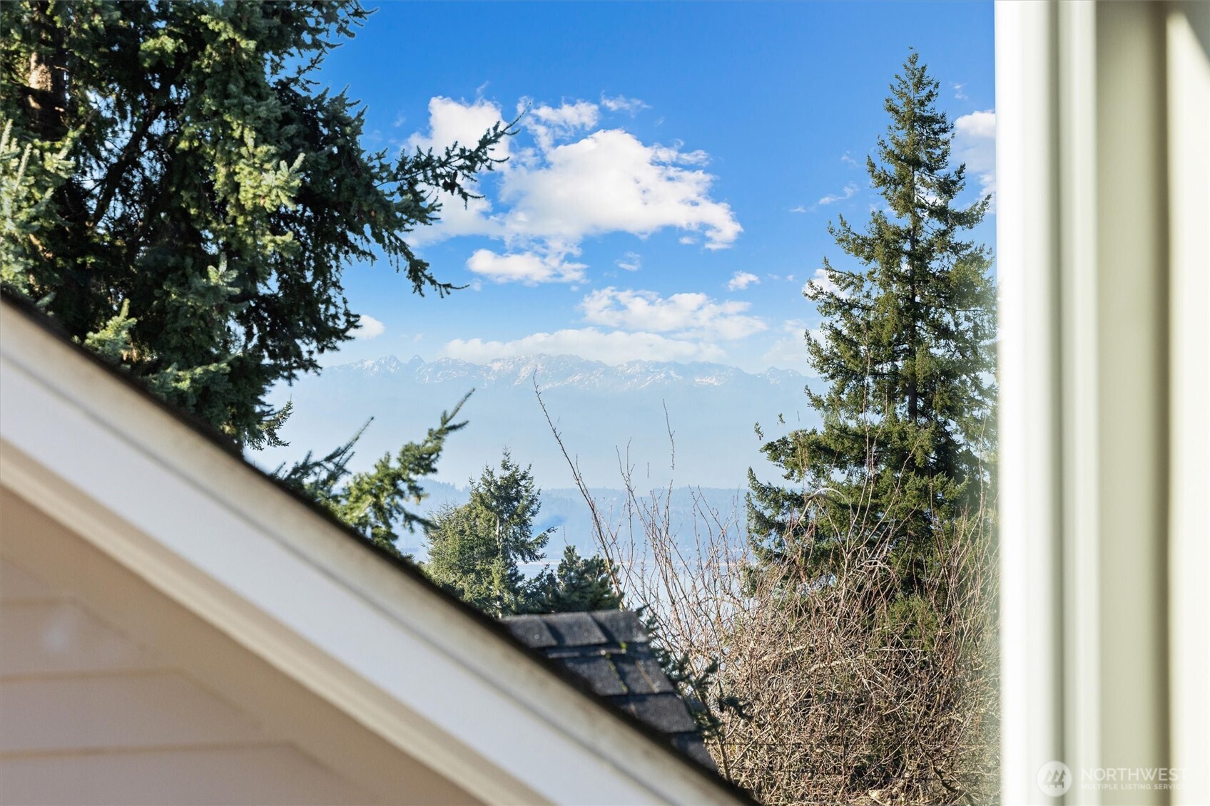 3711 Southwest Webster Street Seattle, WA 98126 - Photo 25 of 39 a view of a flowers in a balcony