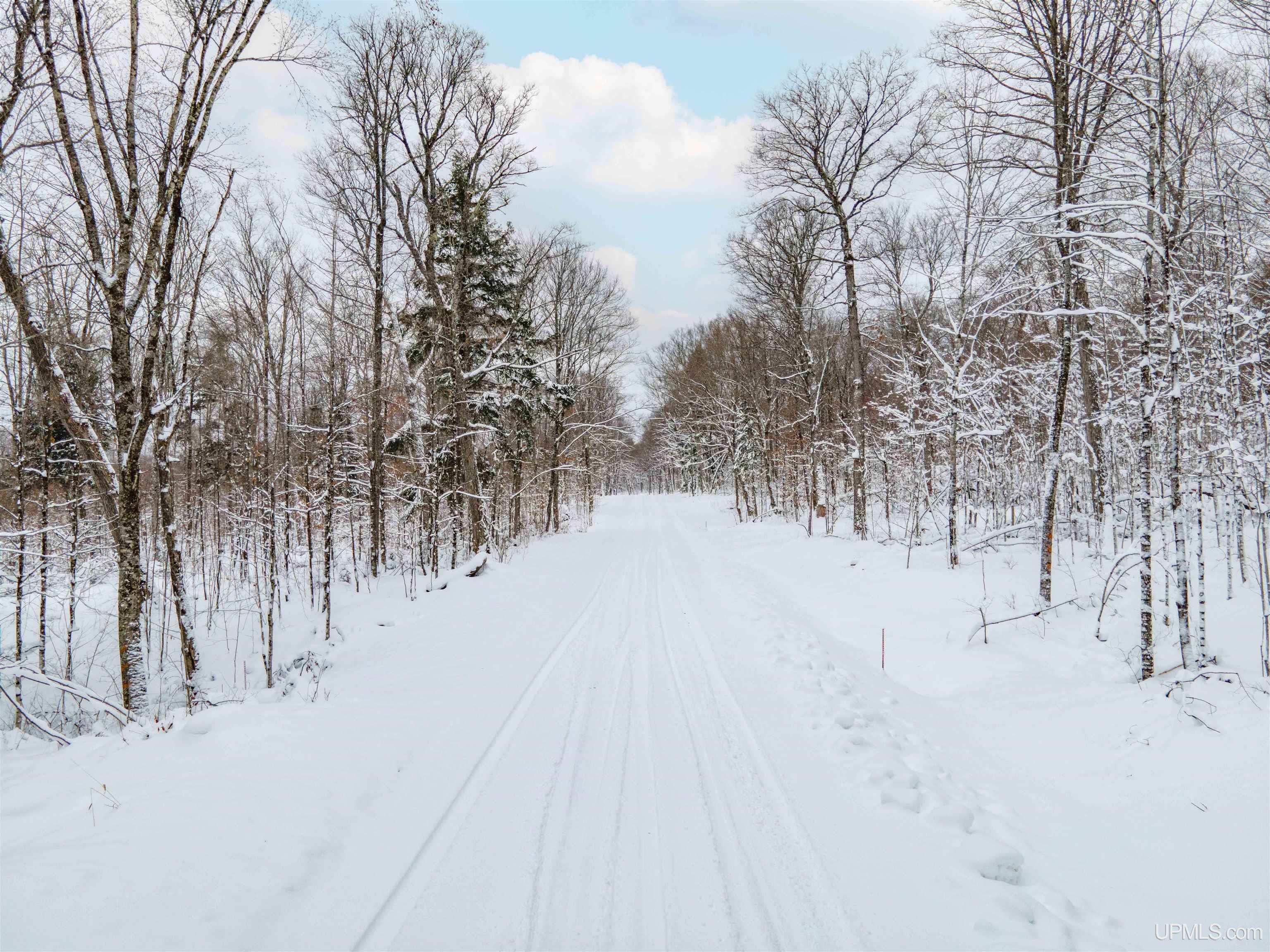 Tbd University Road, Unit LOT 2 Iron River, MI 49935 - Photo 1 of 8