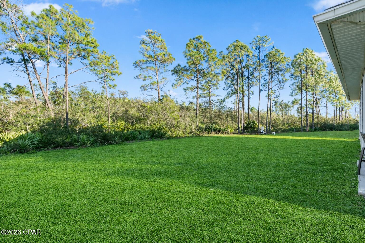 950 Backwater Road Port St. Joe, FL 32456 - Photo 4 of 28