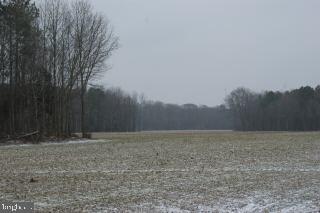 10550 Stewart Neck Road Princess Anne, MD 21853 - Photo 2 of 5