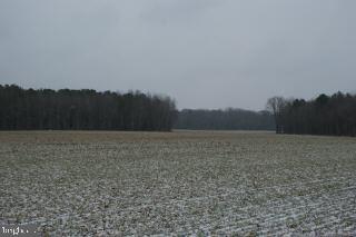 10550 Stewart Neck Road Princess Anne, MD 21853 - Photo 3 of 5