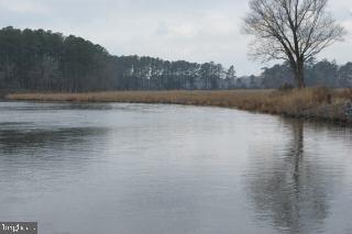 10550 Stewart Neck Road Princess Anne, MD 21853 - Photo 4 of 5