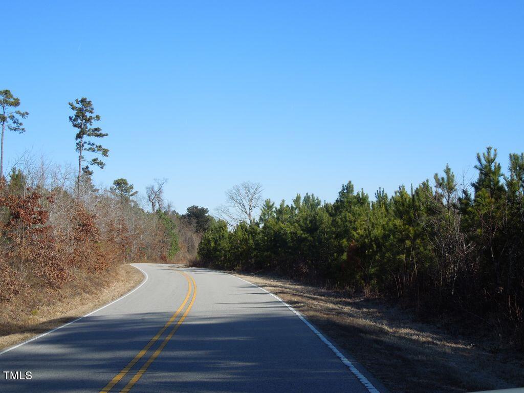 Tbd Macon-Embro Road Macon, NC 27551 - Photo 18 of 29 DSCN7199