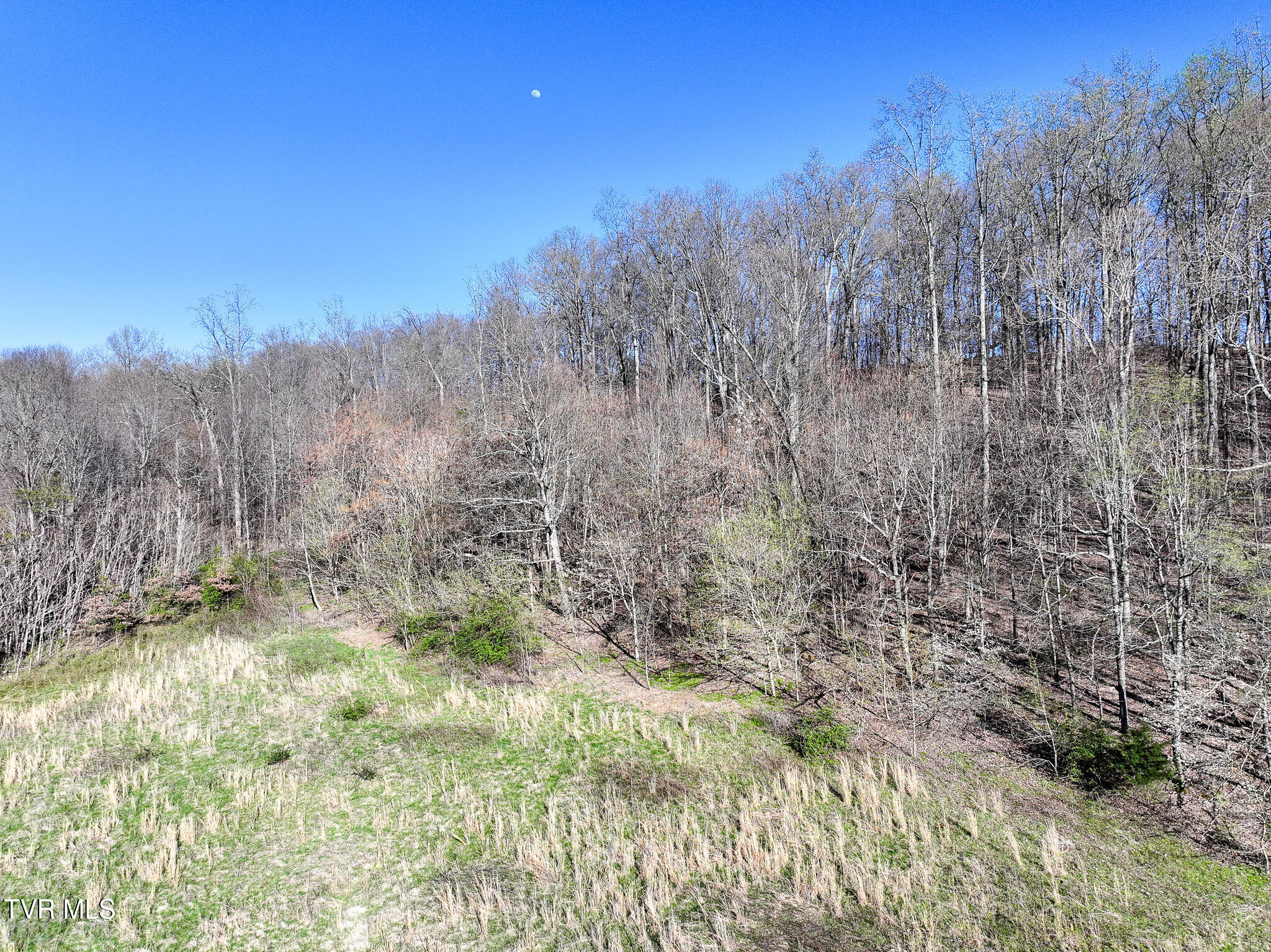 Lot 2 Morrison Road Chuckey, TN 37641 - Photo 15 of 19 14