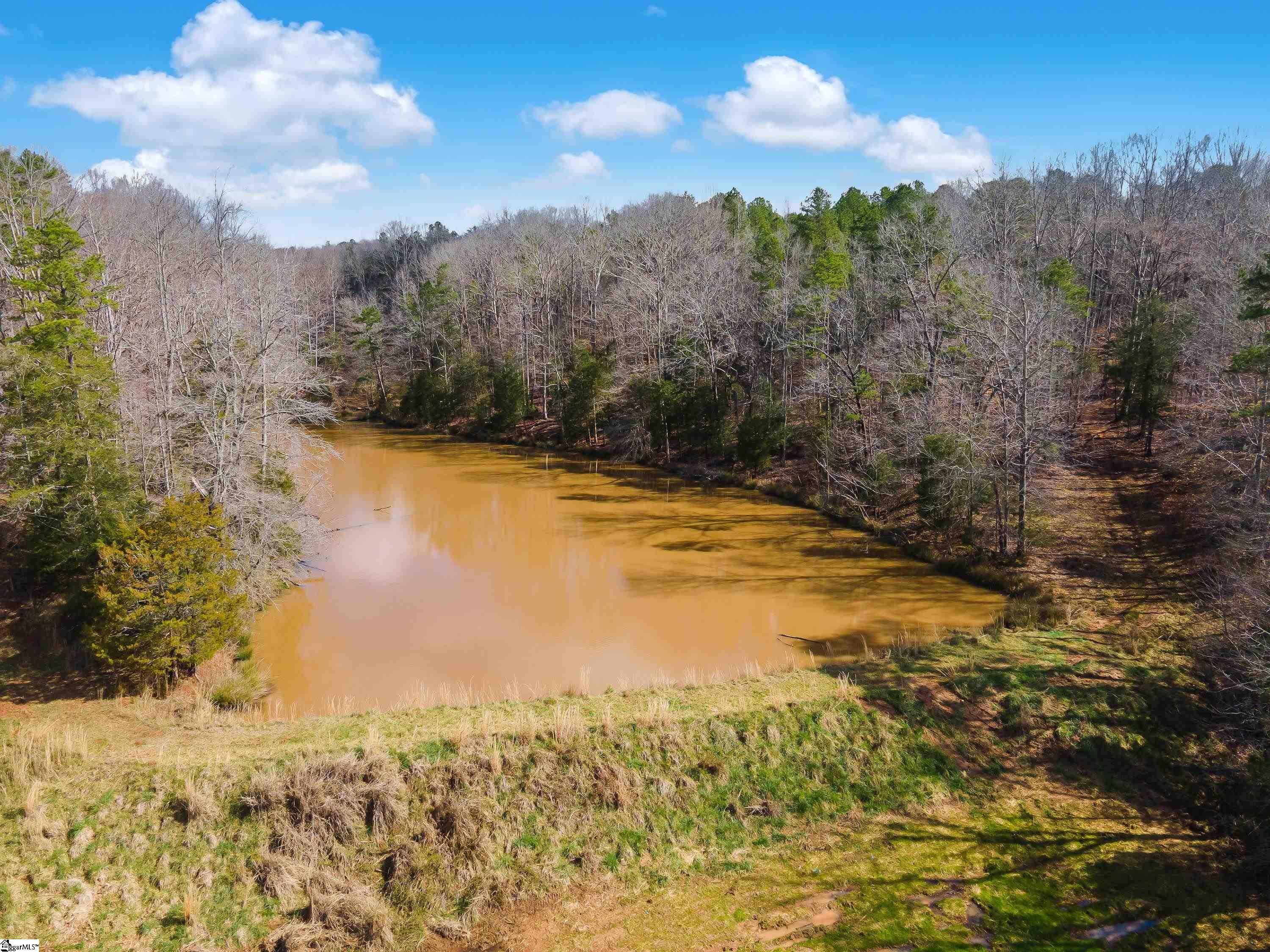 0 Chumley Road, Unit LOT# 4 Woodruff, SC 29388 - Photo 20 of 24