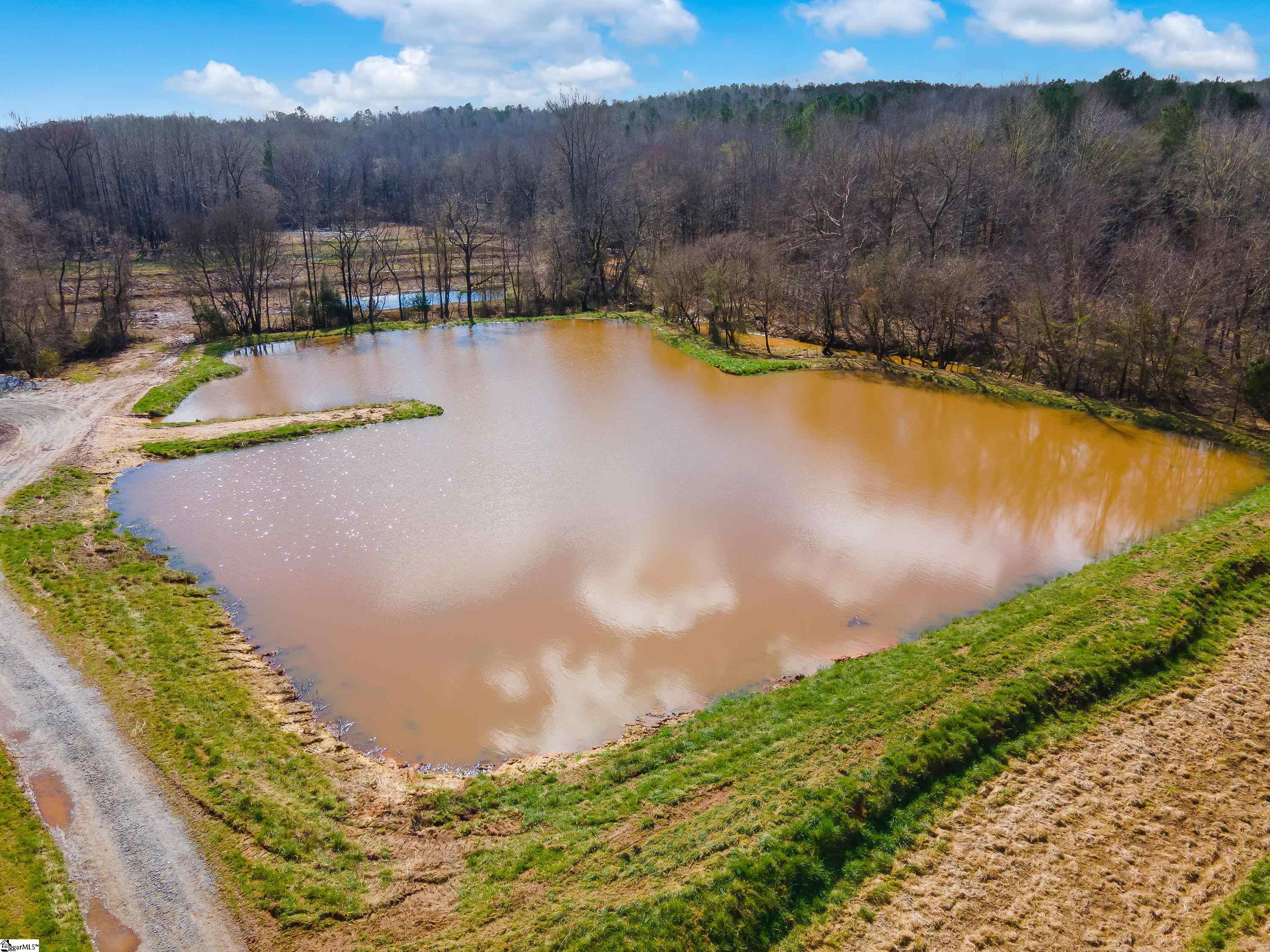 0 Chumley Road, Unit LOT# 4 Woodruff, SC 29388 - Photo 5 of 24