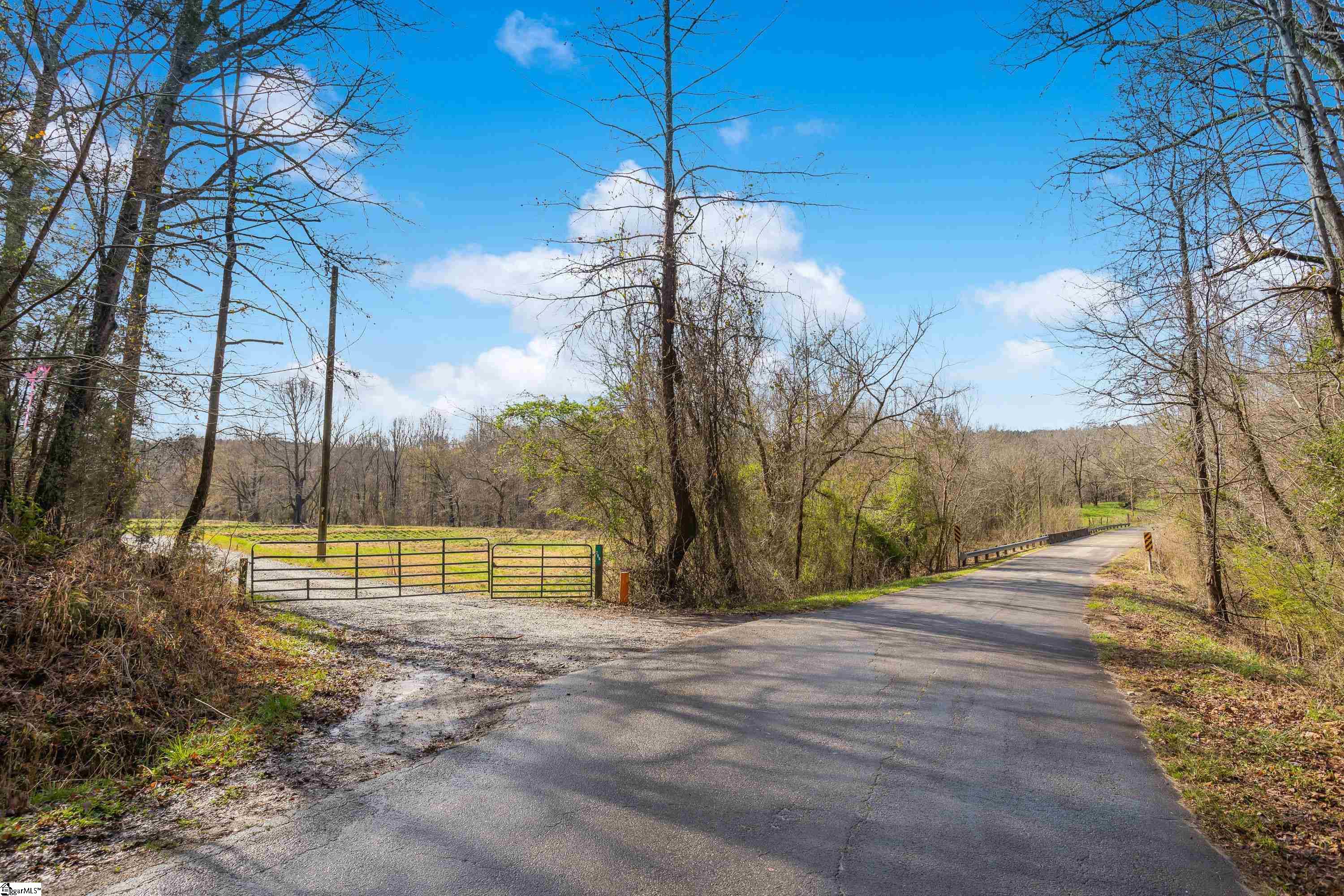 0 Chumley Road, Unit LOT# 4 Woodruff, SC 29388 - Photo 6 of 24